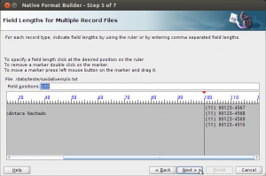 Native Format Builder Native Format Builder