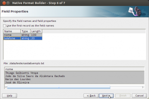 Native Format Builder Native Format Builder
