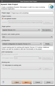 New Dynamic Web Project